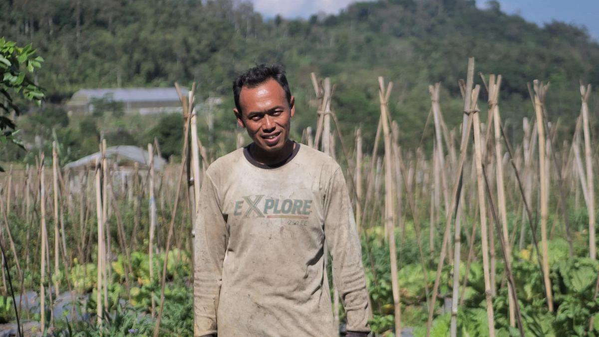 Desa Sumowono, Kabupaten Semarang, Provinsi Jawa Tengah