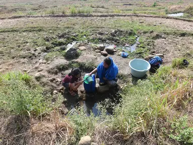 Warga mengambil air untuk kebutuhan sehari-hari pada kubangan bekas sawah di  kawasan Weninggalih, Jonggol, Jawa Barat, Selasa, 25 Agustus 2026. (KLY/ Arie Basuki)