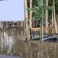 Lokasi pengajian Gus Iqdam di Sor Sengon yang trekena banjir (SS: YT ST Pusat TV)