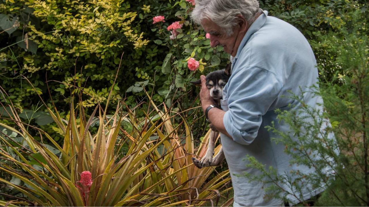 Presiden Termiskin di Dunia Jose Mujica Tutup Usia