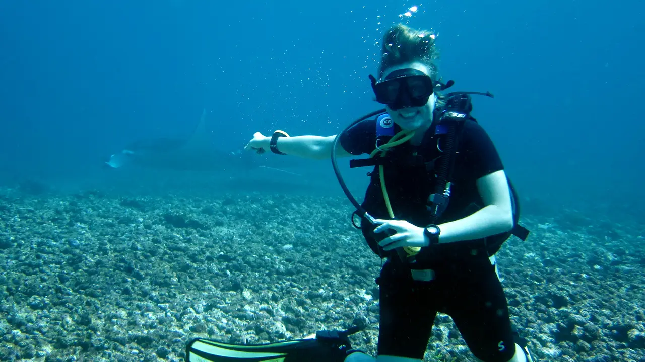 7 Situs Selam Terbaik yang Ada di Kepulauan Komodo