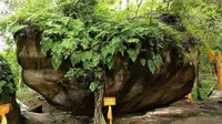 Batu Banama, kisah legenda Sangkuriang versi Dayak di bukit Tangkiling. (foto: Liputan6.com/google)