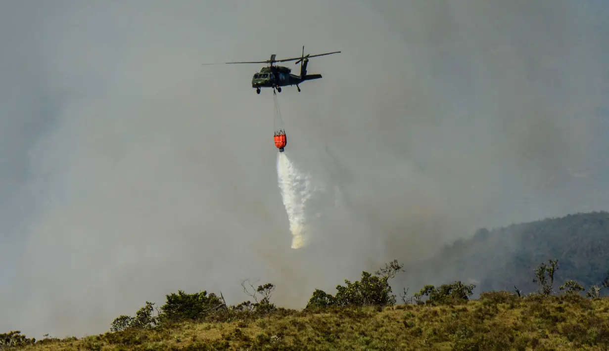 Gelombang panas dampak fenomena El Nino menyebabkan sejumlah kebakaran hutan di Bogota. (SCHNEYDER MENDOZA/AFP)