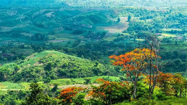 6 Wisata Bojonegoro Yang Wajib Dikunjungi Pemandangan Alam