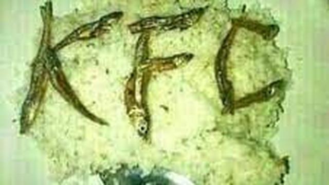 6 Potret Makanan Ditata Estetik Ini Malah Tak Sesuai Ekspektasi, Kocak