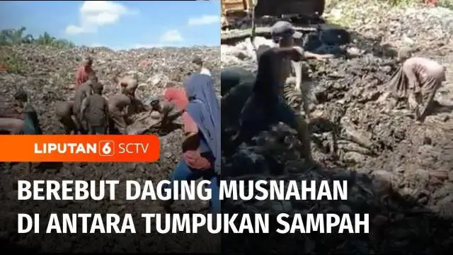 VIDEO: Demi Dapat Daging Ilegal dari India yang Dimusnahkan, Warga Menggali Tumpukan Sampah