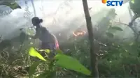 Warga Sulbar Padamkan Api di Lahan Gambut Pakai Alat Seadanya