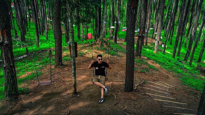 Hutan Pinus Motilango di Gorontalo bisa menjadi destinasi wisata alternatif bagi mereka yang ingin mendapatkan suasana pagi setiap saat. (Liputan6.com/ Arfandi Ibrahim)
