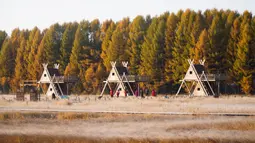 Sejumlah wisatawan mengunjungi Taman Hutan Nasional Saihanba di Chengde, Provinsi Hebei, China utara, pada 27 September 2020. (Xinhua/Liu Mancang)