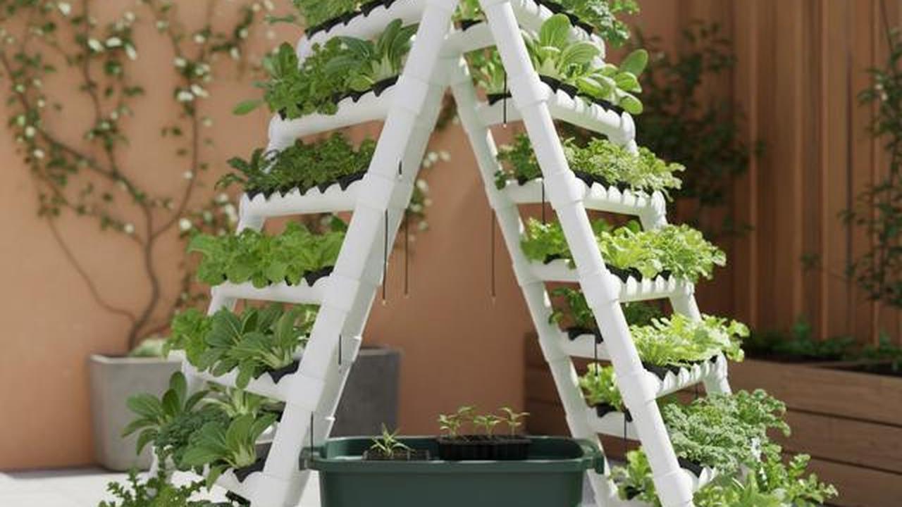 Model A-Frame (Segitiga) Hidroponik (Gemini AI)