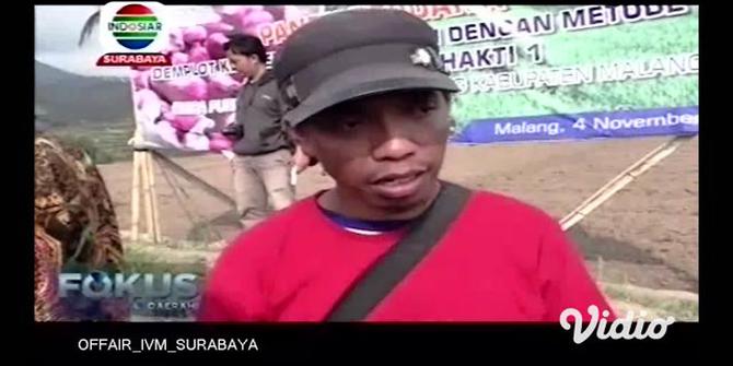 VIDEO: Petani di Malang Berinovasi Tanam Bawang Pakai Bijinya