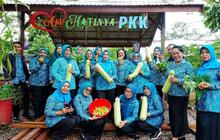 PKK Barut Perkuat Ketahanan Pangan Keluarga Melalui Pemanfaatan Pekarangan Produktif