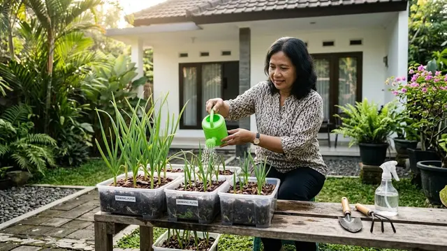 Bawang Putih