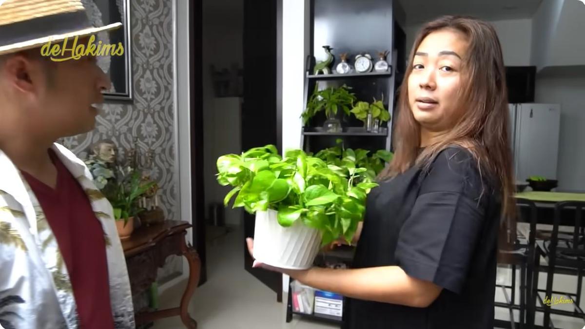 6 Potret 'Kebun' di Dalam Rumah Soimah, Ada Beragam Tanaman Penuhi Sudut Ruang