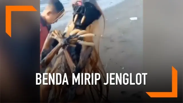 Baru-baru ini, warga dihebohkan dengan penemuan bendar yang mirip jenglot di sekitar Pantai Gilimanuk, Bali.