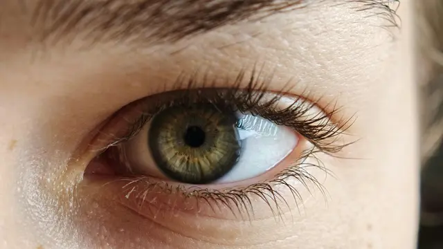 Memilih bentuk alis untuk wajah segitiga.