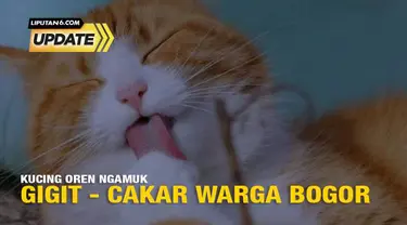Seekor kucing oranye baru-baru ini dievakuasi oleh pemadam kebakaran Kabupaten Bogor, Jawa Barat karena meresahkan. Kucing yang dijuluki “Si Oyen” tersebut dilaporkan oleh warga sekitar di Stadion Pakansari.