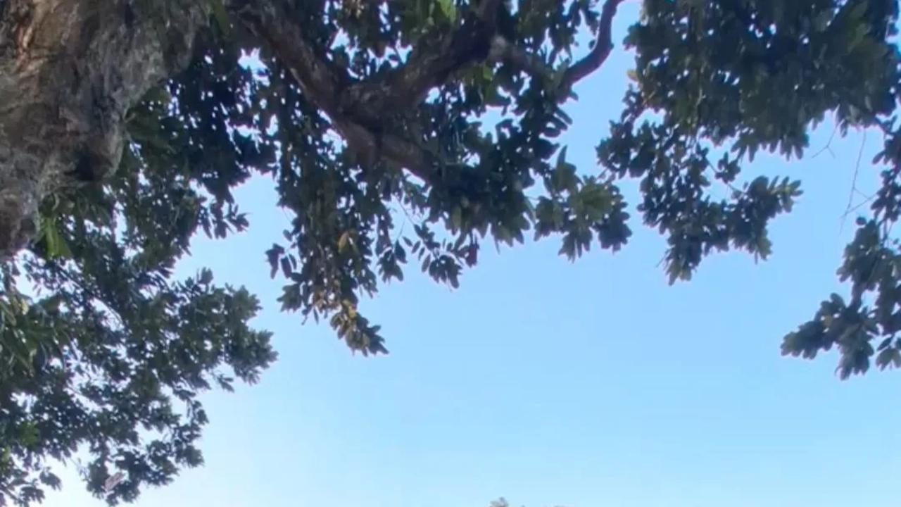 Pemkot Jaktim Bakal Bangun Puskesmas Kelurahan Kayu Putih di Atas Lahan Ruang Terbuka
