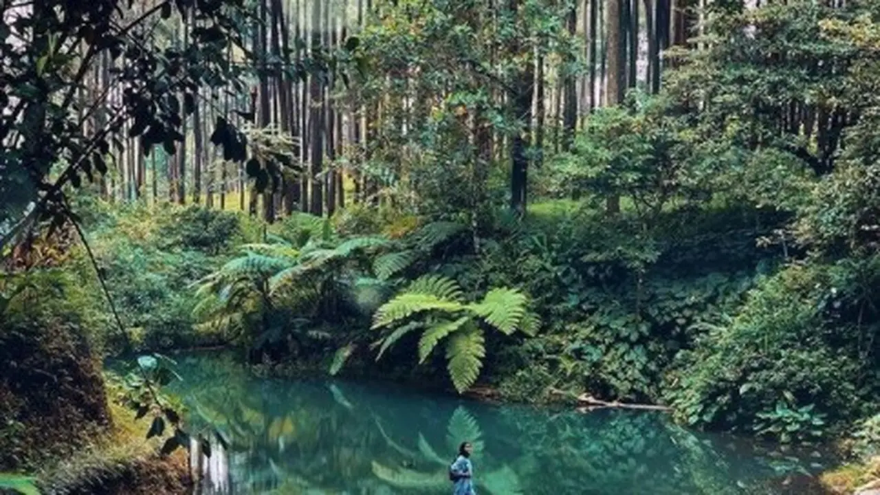 20 Wisata Tegal yang Wajib Dikunjungi, Pesona Alamnya Bikin Rileks