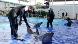Para pelatih memberikan pelatihan kepada lumba-lumba selama penutupan sementara di sebuah pusat konservasi di Bali, Selasa (28/4/2020). Semua tempat wisata dan situs telah diminta untuk sementara waktu ditutup sebagai langkah untuk mengendalikan penyebaran Covid-19. (AP Photo/Firdia Lisnawati)