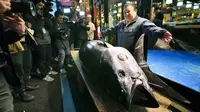 Seekor tuna sirip biru (bluefin) raksasa seberat 278 kilogram dihargai supermahal(Koki Sengoku/Kyodo News via AP)
