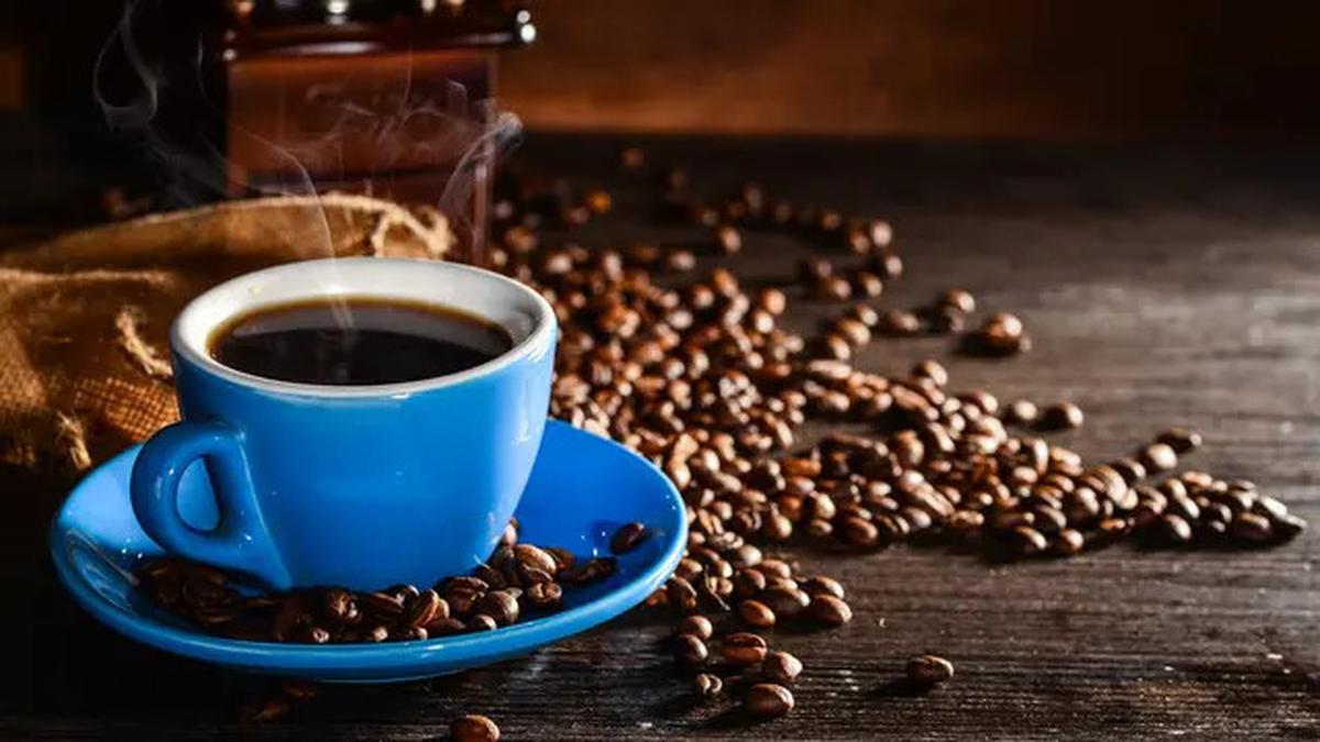 Harga Kopi Cetak Rekor Termahal, Apa Penyebabnya?