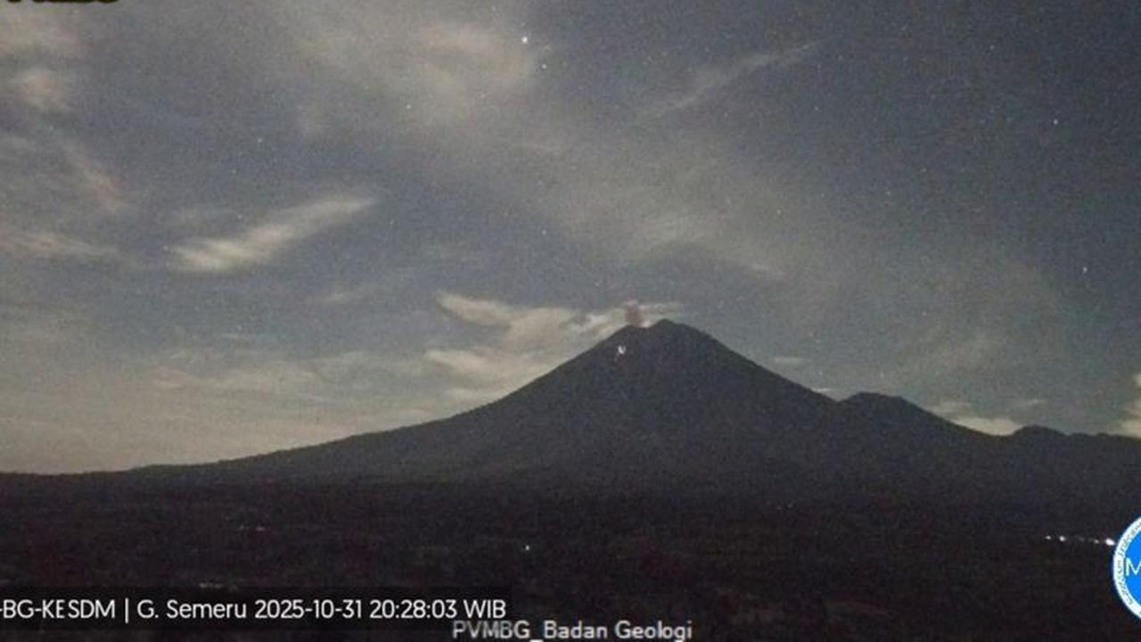 Fakta Mengejutkan: Gunung Semeru Erupsi 14 Kali dalam Sehari, Kolom Abu Capai 700 Meter!