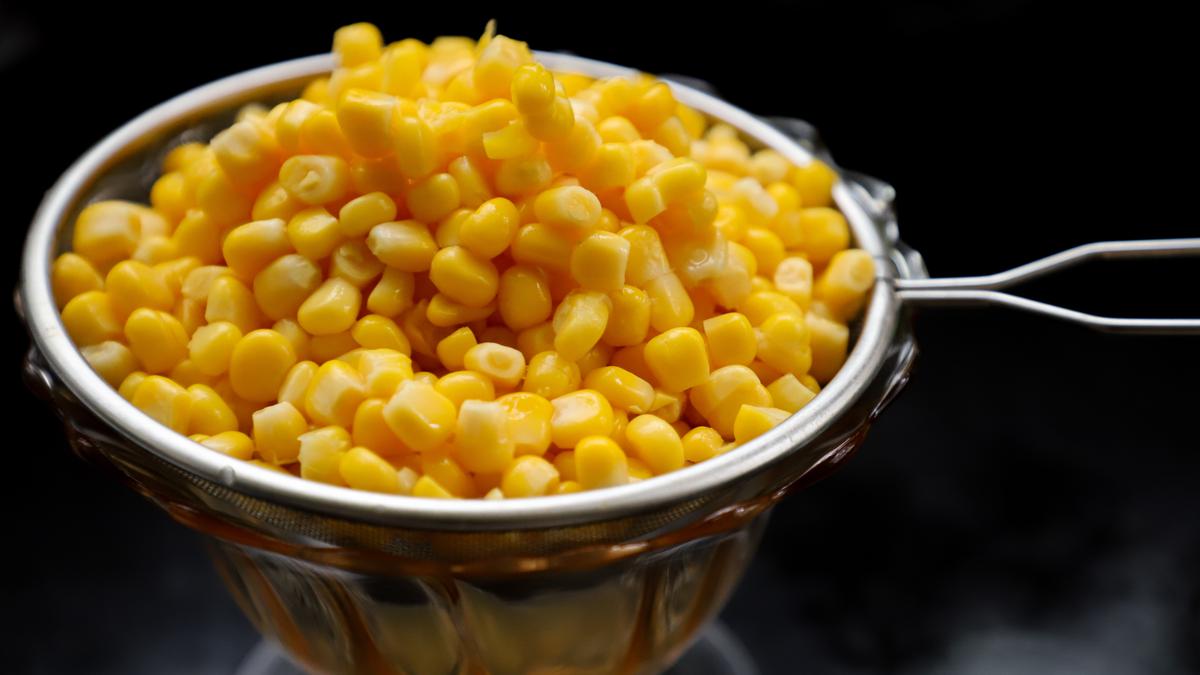 Cara Merebus Jagung Manis untuk Jasuke, Mudah Dicoba di Rumah