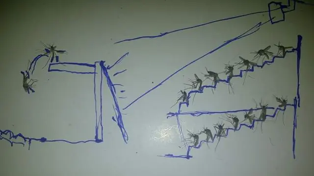 7 Potret Nyeleneh Orang Koleksi Mayat Nyamuk, Ada yang Sampai Bikin Komik