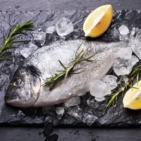 ilustrasi ikan beku/copyright by Hitdelight (Shutterstock)