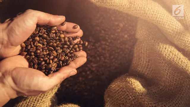 Biji Kopi