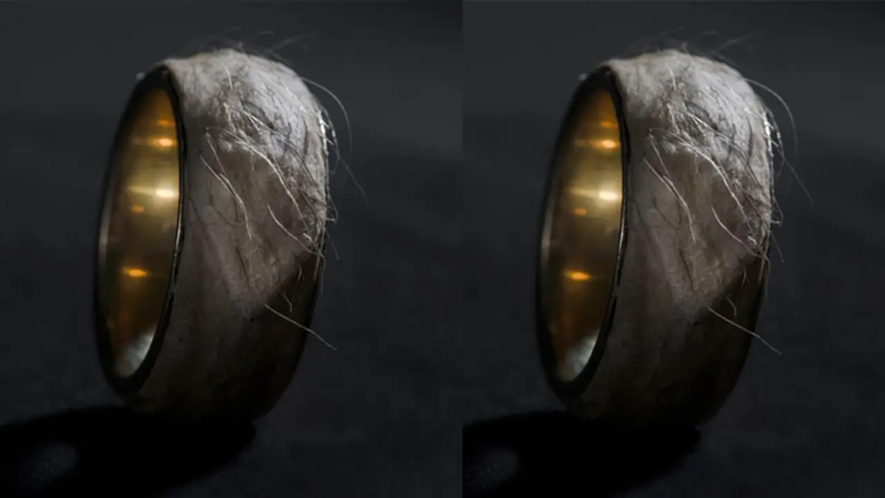 Berani Pakai Cincin dari Kulit Manusia?
