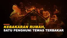 jalang kote thumbnail