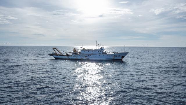 FOTO: Peneliti Temukan 11 Spesies Paus di Laut China Selatan