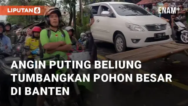 Angin puting beliung melanda Lebak, Banten sebabkan pohon besar tumbang. Pohon tumbang di Jalan Raya Rangkasbitung - Pandeglang
