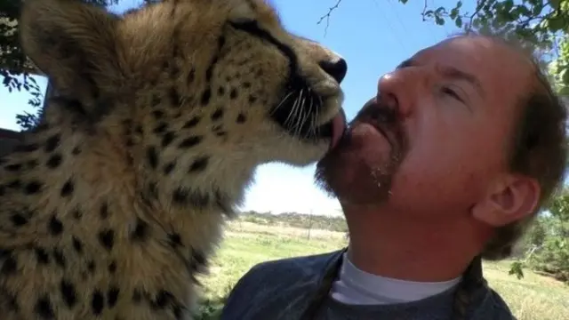 Dolph bersama sahabat Cheetahnya Gabriel (Image: Dolph C. Volker / Barcroft Images)