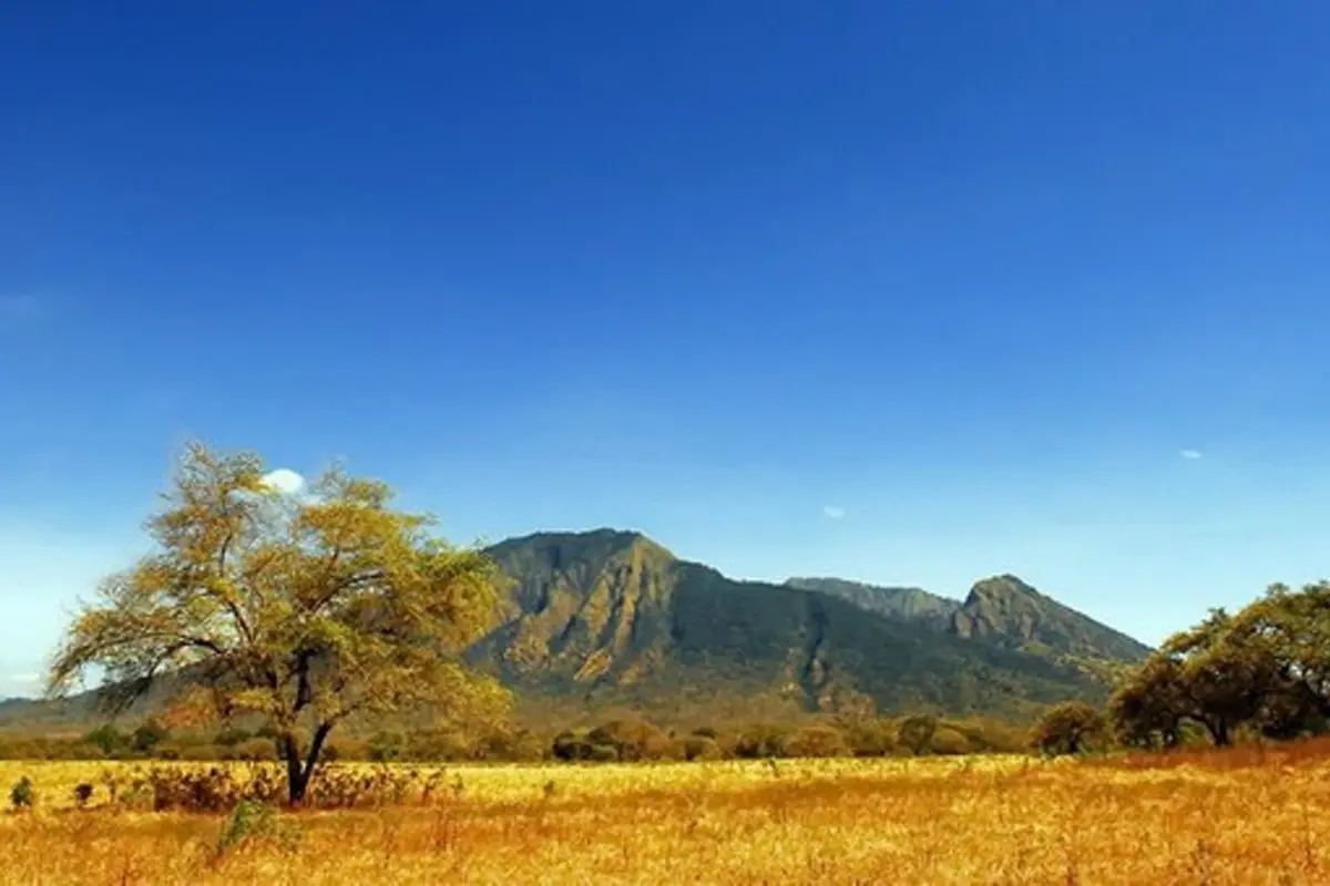 Taman Nasional Baluran, Afrikanya Tanah Jawa