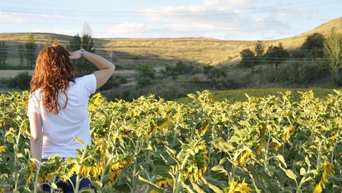 410 Gambar Motivasi Jangan Takut Gagal Gratis Terbaik