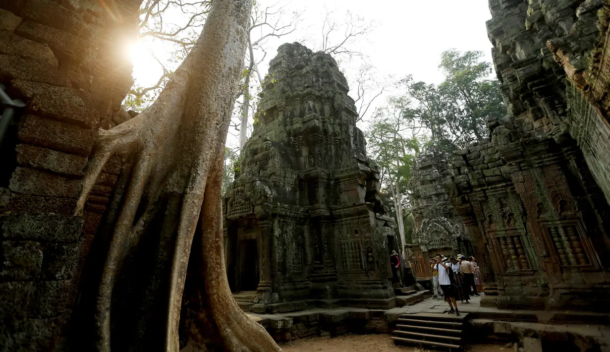 Wisatawan mengunjungi kompleks kuil Ta Prohm di provinsi Siem Reap, Kamboja. Kuil yang semakin populer semenjak digunakan untuk lokasi syuting film Tomb Raider tersebut memiliki nilai sejarah tinggi dan masih terjaga keasliannya. (REUTERS/Samrang Pring)