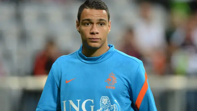 Gregory van der Wiel