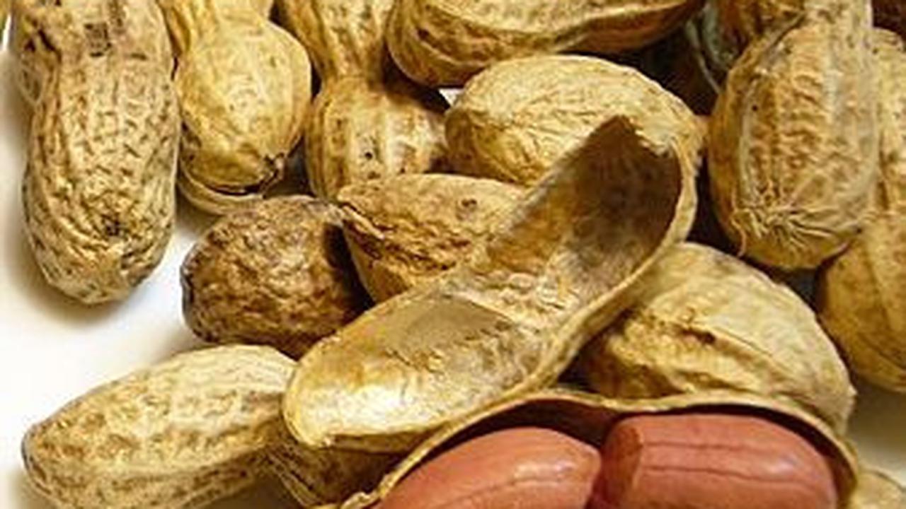 2. Kacang<br>