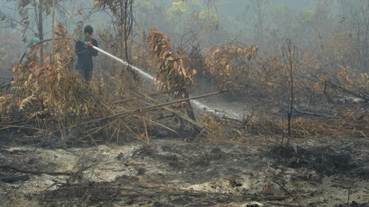 Meratapi sekolah di Riau jadi usang akibat kabut asap