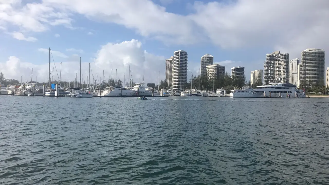 Wisata Menakjubkan Bersama Ikan Paus dan Burung Pelikan di Gold Coast Australia