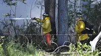 Pencarian Korban Kebakaran Maui Hawaii Kian Intensif, Korban Tewas Diperkirakan Meningkat
