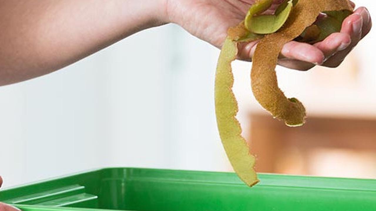 6 Tips Mengurangi Sampah Rumah Tangga, Buat Lingkungan Bersih dan Nyaman