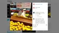 Viral 2 Orang Gunakan APD saat Belanja di Supermarket. (Instagram @lambe_turah)