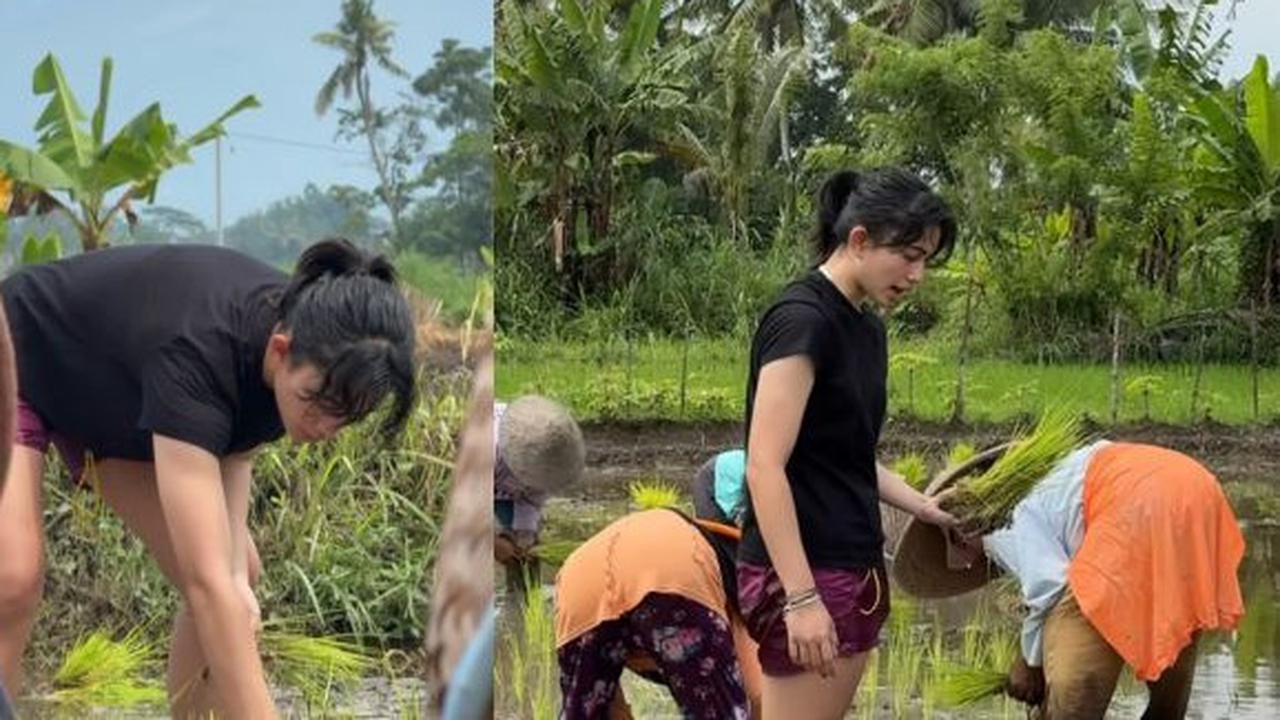 5 Pesona Menawan Sintya Marisca Jadi Petani Dadakan, Jor-Joran Bantu Ibu-Ibu Menanam Padi di Sawah