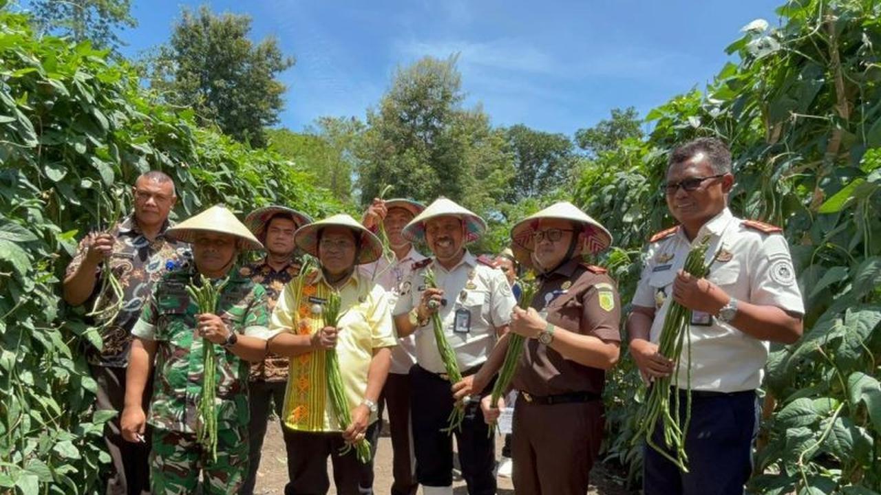 Panen Raya Ditjenpas NTT: WBP Rutan Kefamenanu Perkuat Ketahanan Pangan Nasional