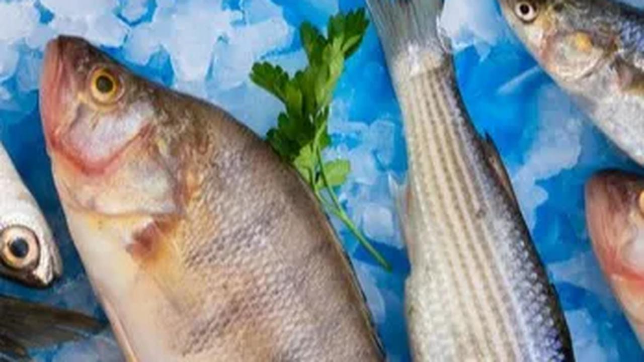Rutin memberikan ikan pada Si Kecil membawa berbagai manfaat, tidak hanya dalam meningkatkan kecerdasan dan IQ, tetapi juga dalam menjaga kesehatan jantung, tulang, kulit, dan pola tidur.
