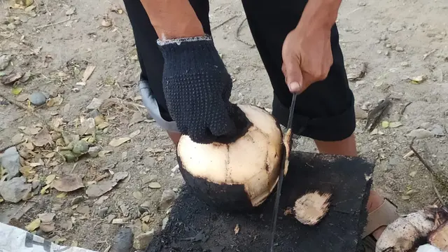 Kelapa Muda Bakar